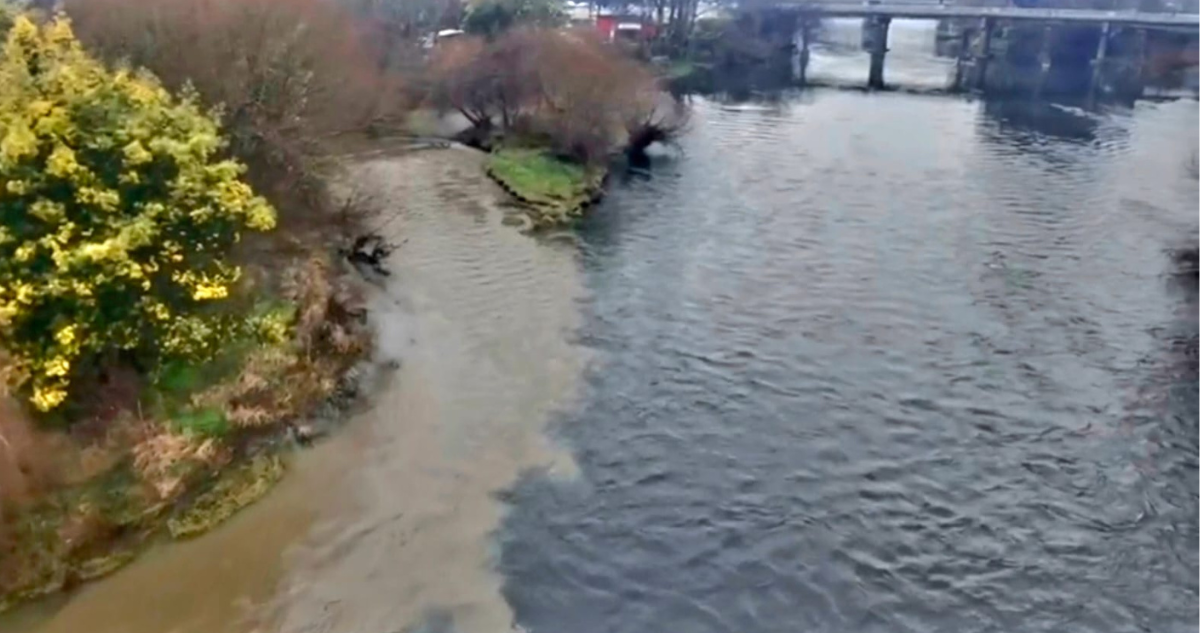 Mancha en el agua: agrupación denuncia en Osorno nueva contaminación en ríos Rahue y Damas