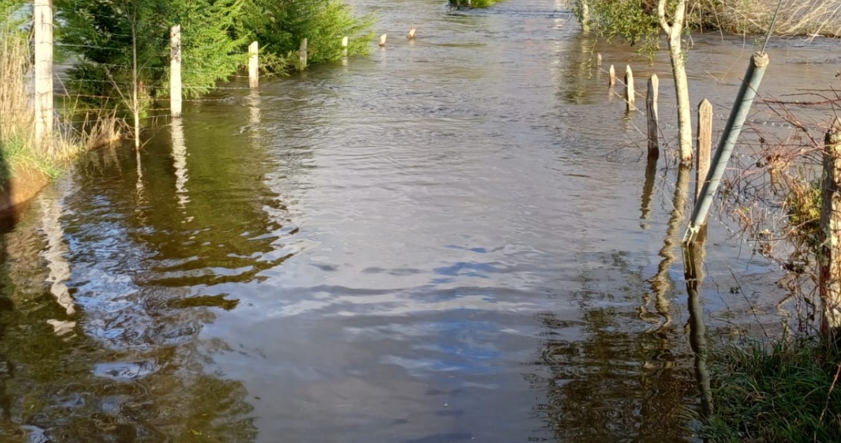 Crecida de río Leufucade en Los Ríos