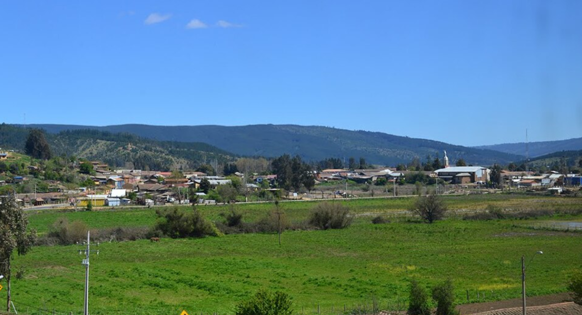 Curepto | Wikipedia
