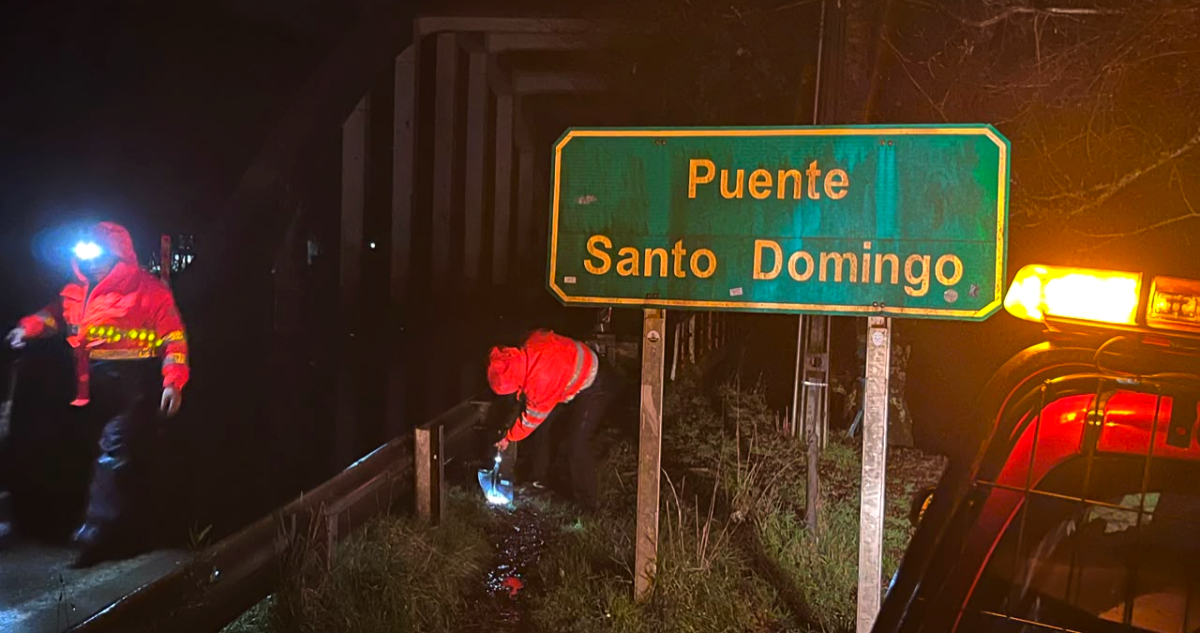Desborde de ríos obligan a declarar Alerta Roja para las comunas de Futrono y Valdivia