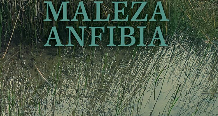 Detalle de la portada de Maleza Anfibia, Ediciones Kultrún