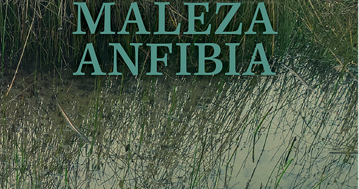 Detalle de la portada de Maleza Anfibia, Ediciones Kultrún
