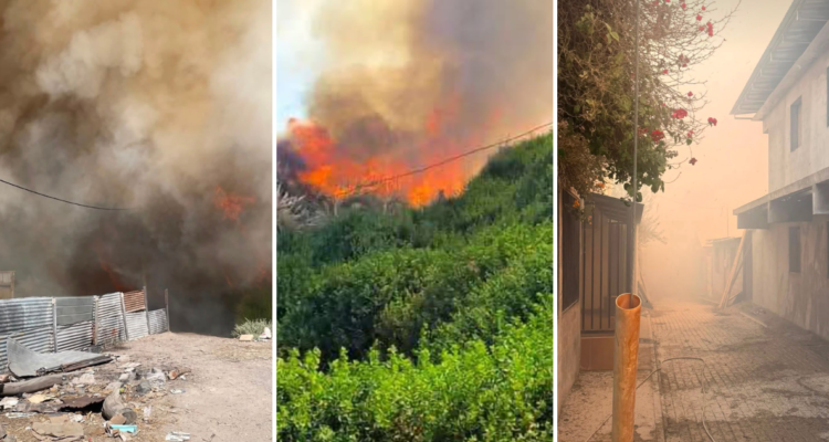 Incendio forestal obliga a evacuar sector de Camiña en Tarapacá: Senapred activa alerta SAE
