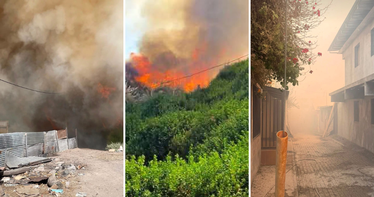 Incendio forestal obliga a evacuar sector de Camiña en Tarapacá: Senapred activa alerta SAE
