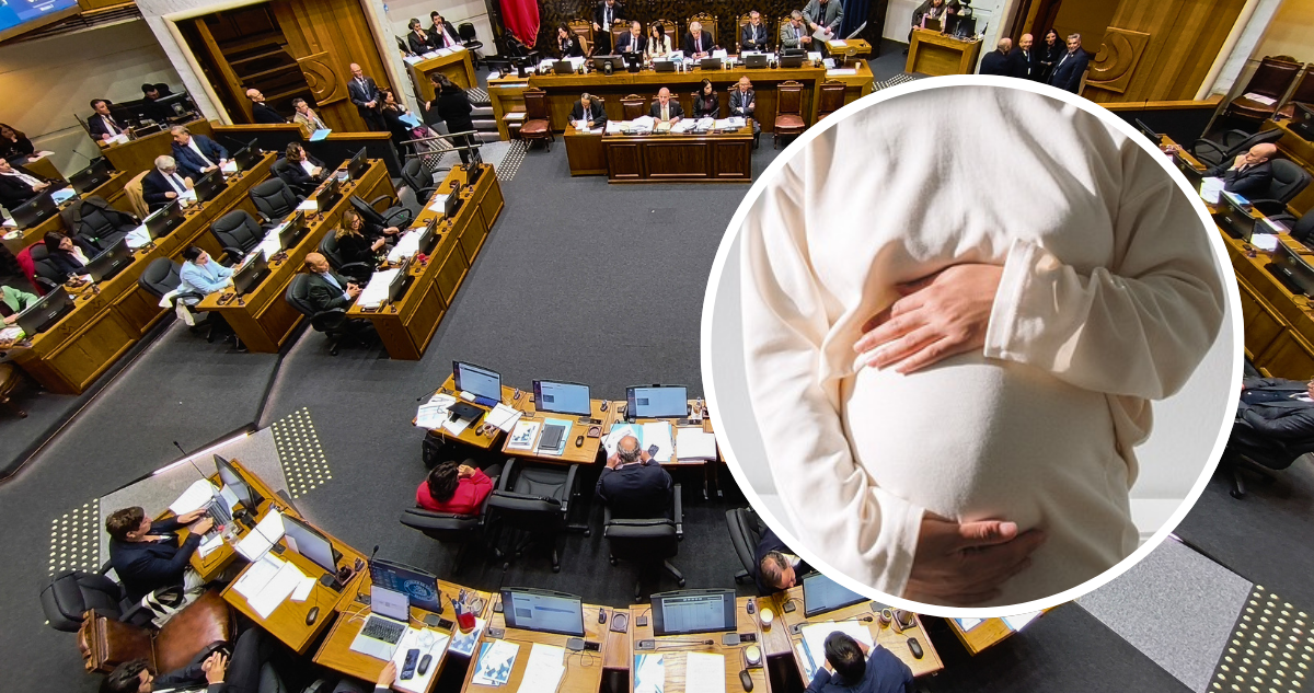 Senadores impulsan Ley Marco de Fertilidad para enfrentar la crisis de natalidad en Chile