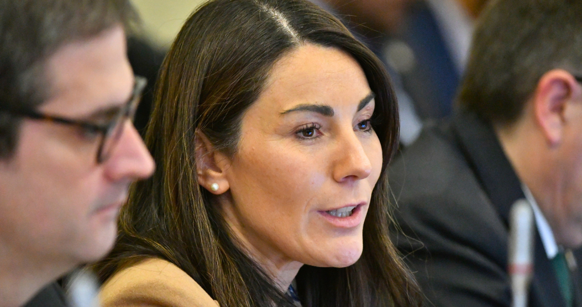 Reforma al SAE avanza a Hacienda entre críticas por supuesto cierre del debate en comisión