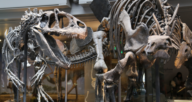Dinosaurios