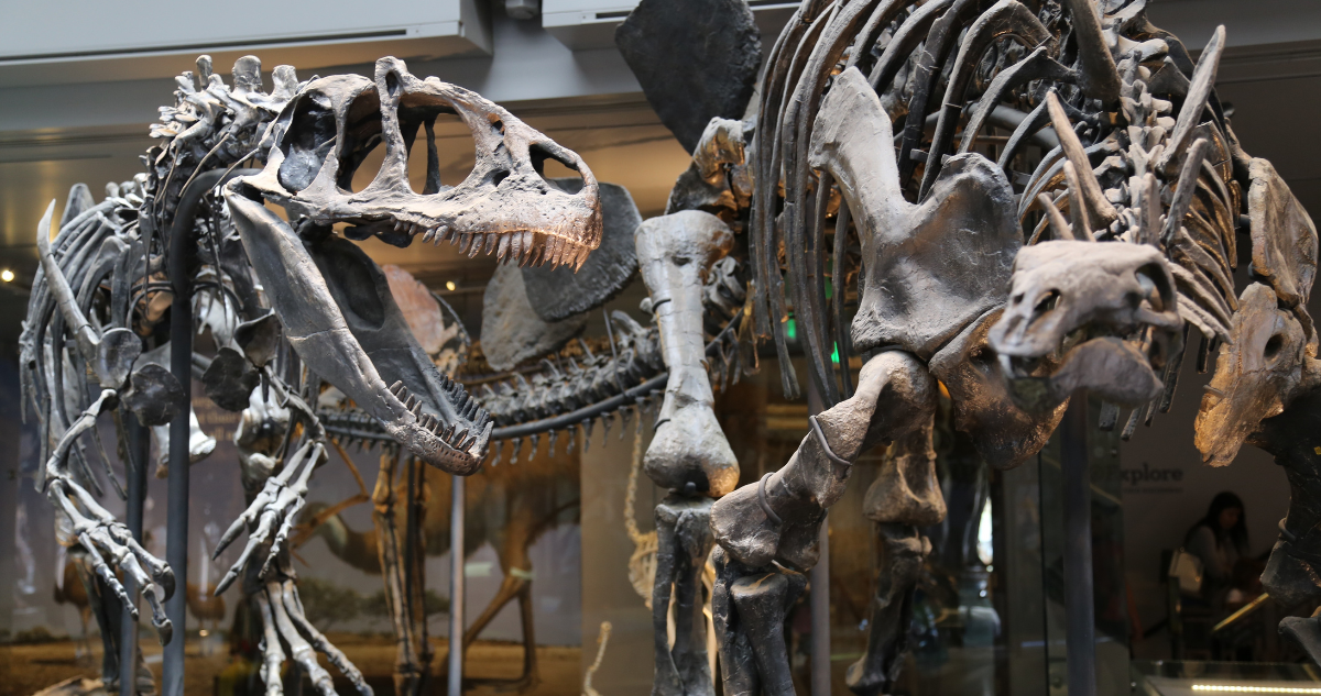 Dinosaurios