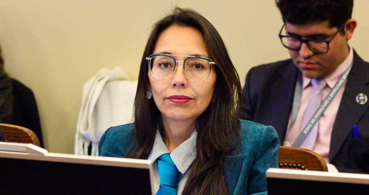 Diputada del PDG rechaza privatización de Codelco: “No vamos a legislar para apoyar esta propuesta”