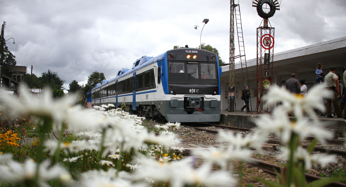 Tren Llanquihue – Puerto Montt | Agencia UNO