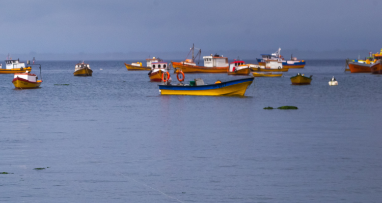 Botes de pescadores artesanales