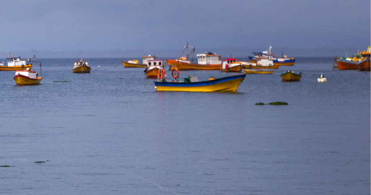 Botes de pescadores artesanales