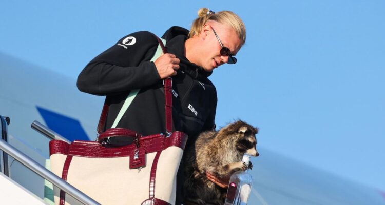 Erling Haaland retornó a Noruega con un mapache disecado.