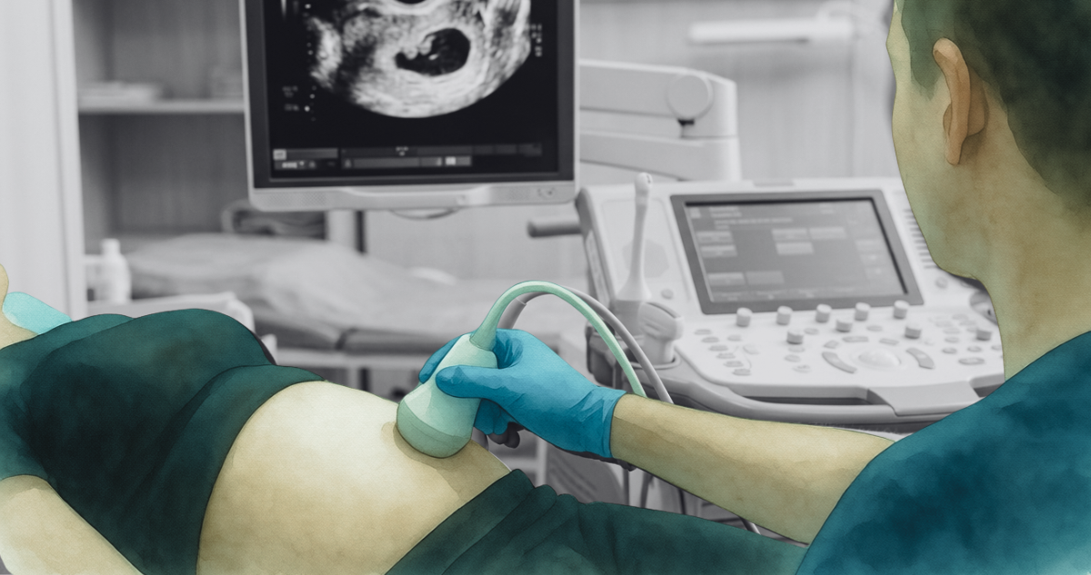 El proyecto de ley que obliga a mujeres y niñas a escuchar los latidos del embrión o feto para abortar