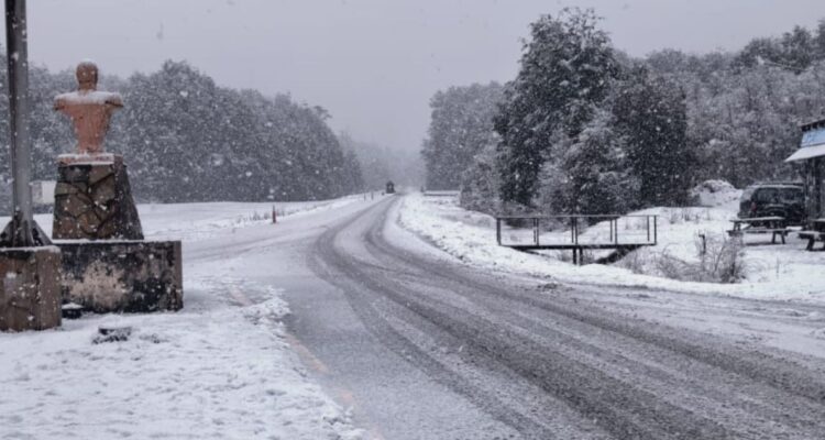 Paso Cardenal Samoré permanecerá cerrado este viernes por acumulación de nieve