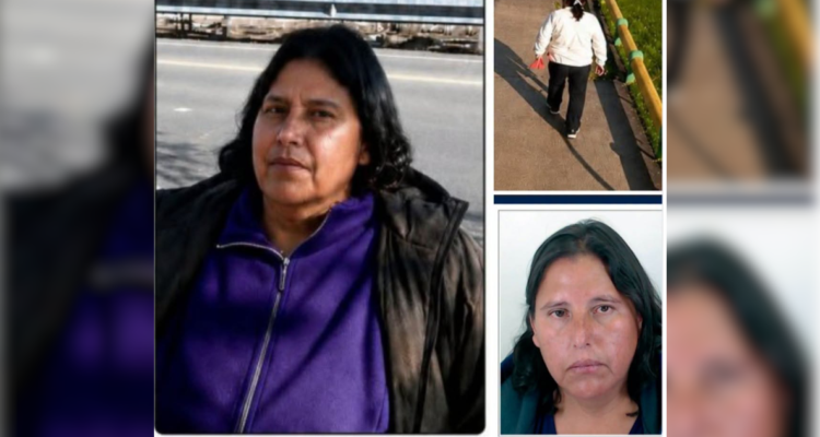 Familia de mujer insulinodependiente acusa falta de apoyo para encontrarla en Nueva Imperial