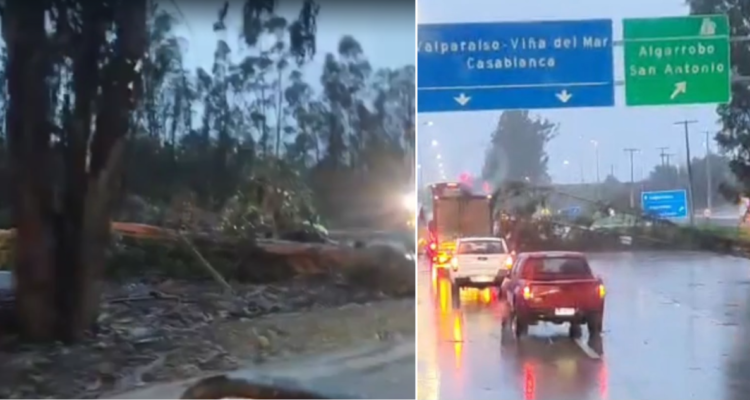 Sistema frontal deja árboles y postes caídos: reportan emergencias en rutas 68, 78 y Valparaíso