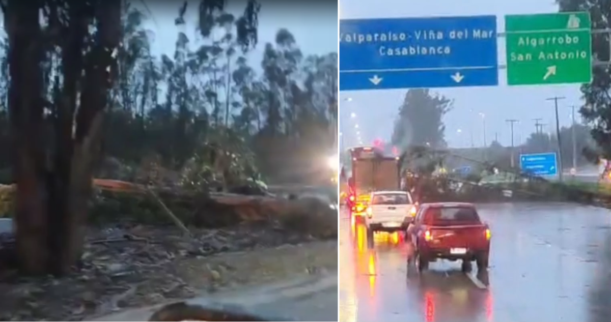 Sistema frontal deja árboles y postes caídos: reportan emergencias en rutas 68, 78 y Valparaíso
