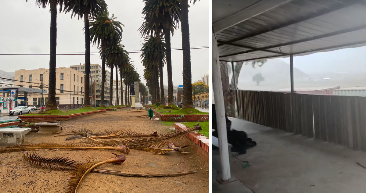 VIDEOS | Sistema frontal golpea con fuertes vientos a Valparaíso: pronostican ráfagas de hasta 93 km/h