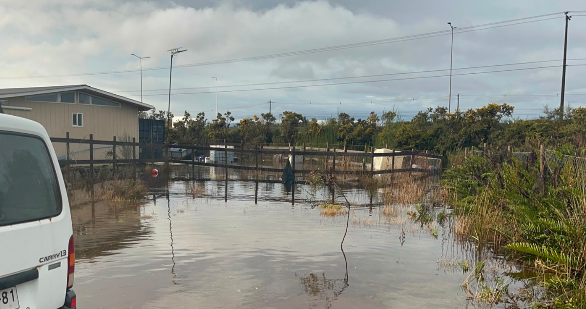 Rutas bloqueadas, aumento de caudales y riesgo de derrumbe: lo que dejó sistema frontal en Los Lagos