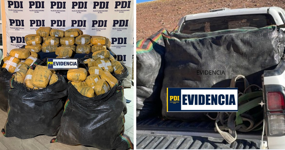 PDI decomisa más de 175 kilos de cannabis en sector fronterizo de San Pedro de Atacama