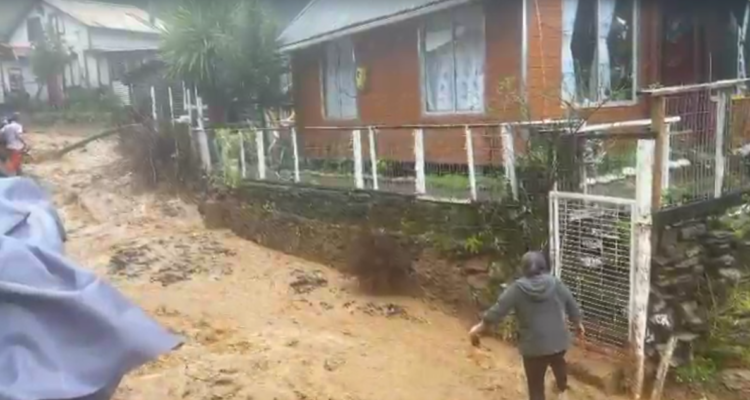 Capturas