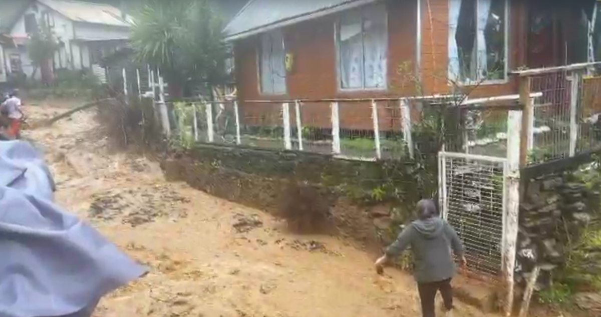 Capturas