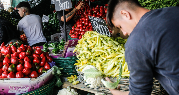 Los Lagos: Seremi de Agricultura pide no especular con precio de frutas y verduras por sistema frontal