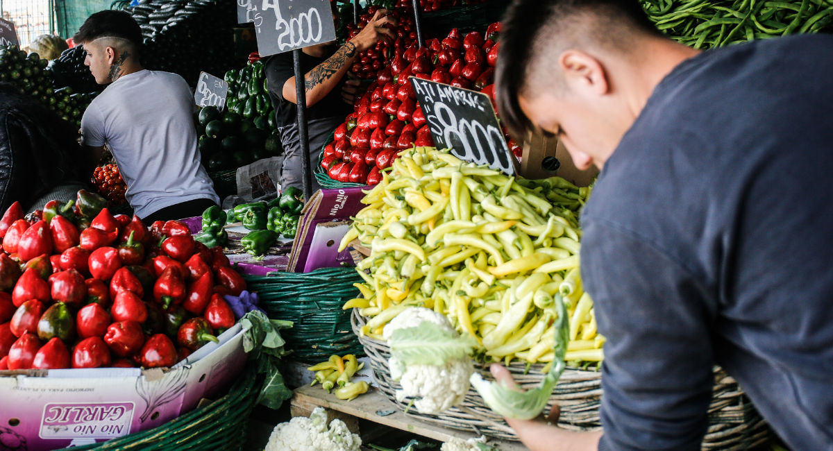 Llaman a evitar alzas injustificadas en frutas y verduras en Los Lagos