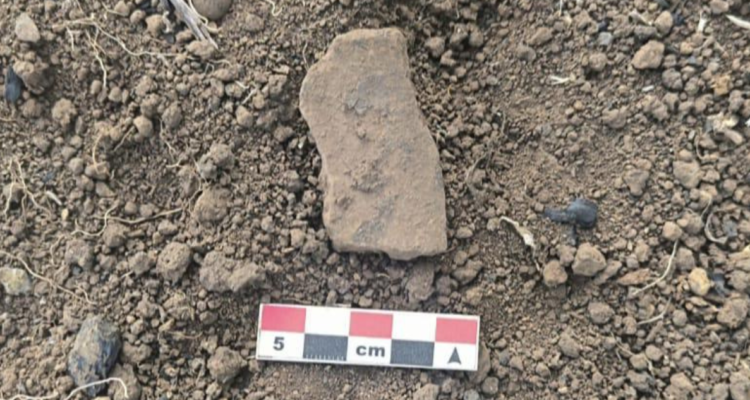 https://media.biobiochile.cl/wp-content/uploads/2026/07/hallazgos-arqueologicos-osorno-750x400.png