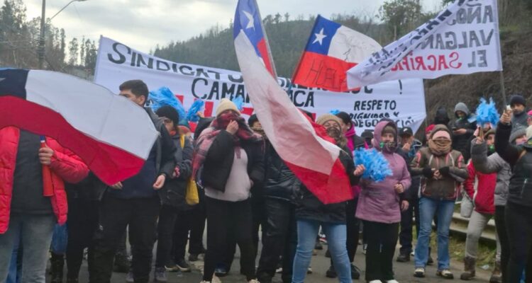 Hualga en Camanchaca