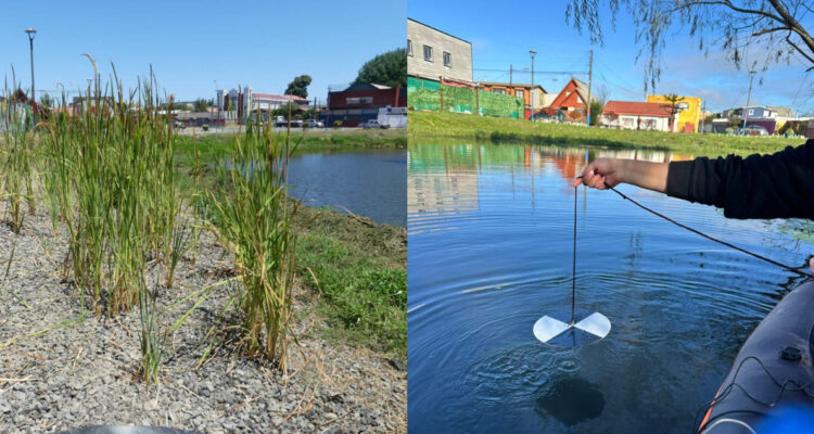 Humedales construidos emergen como apuesta innovadora ante la crisis climática