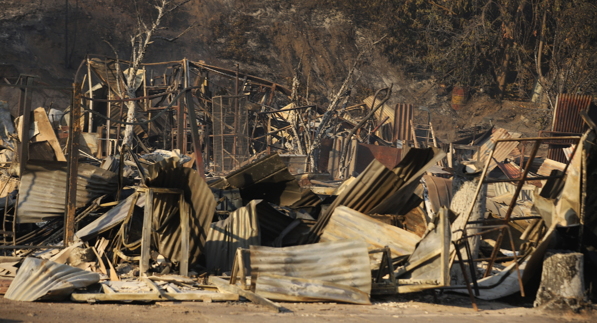 Incendios 2024 | Agencia UNO