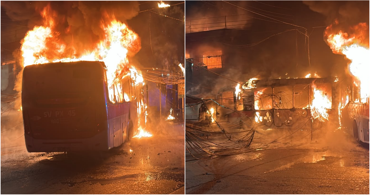 Consumo de alcohol y rauda huida: qué se sabe de accidente e incendio que dejó cinco muertos