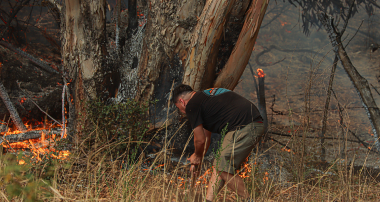 Chiguayante: dan luz verde a recurso de vecinos que piden medidas para evitar incendios forestales
