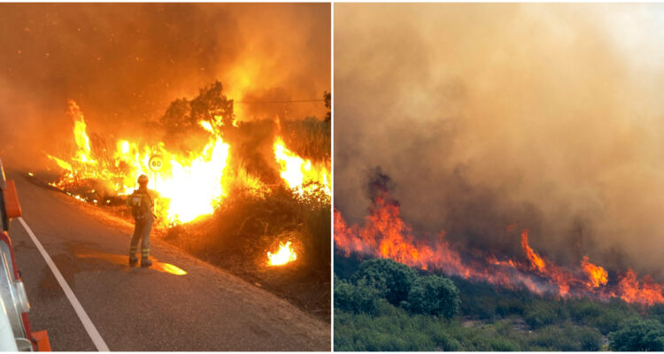 VIDEOS | Más de 15 mil hectáreas han sido arrasadas por incendios forestales en España