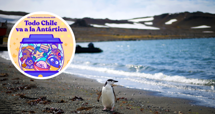 Antártica