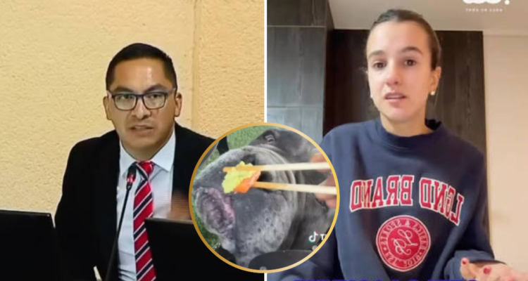 Denuncia contra Josefa Sáez