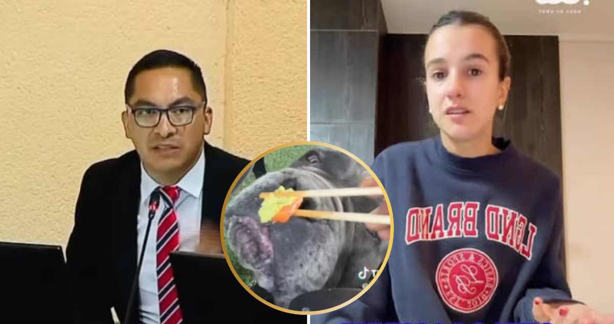 Parlamentario irá a la justicia contra creadora de contenido por maltrato a su mascota