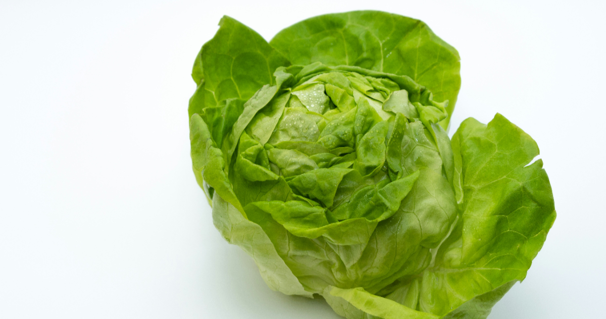 Foto de una lechuga