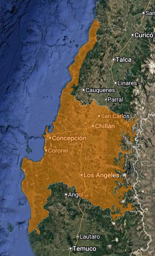 Emiten Alerta por viento y lluvias moderadas a fuertes en Bío Bío y Ñuble: revisa las intensidades