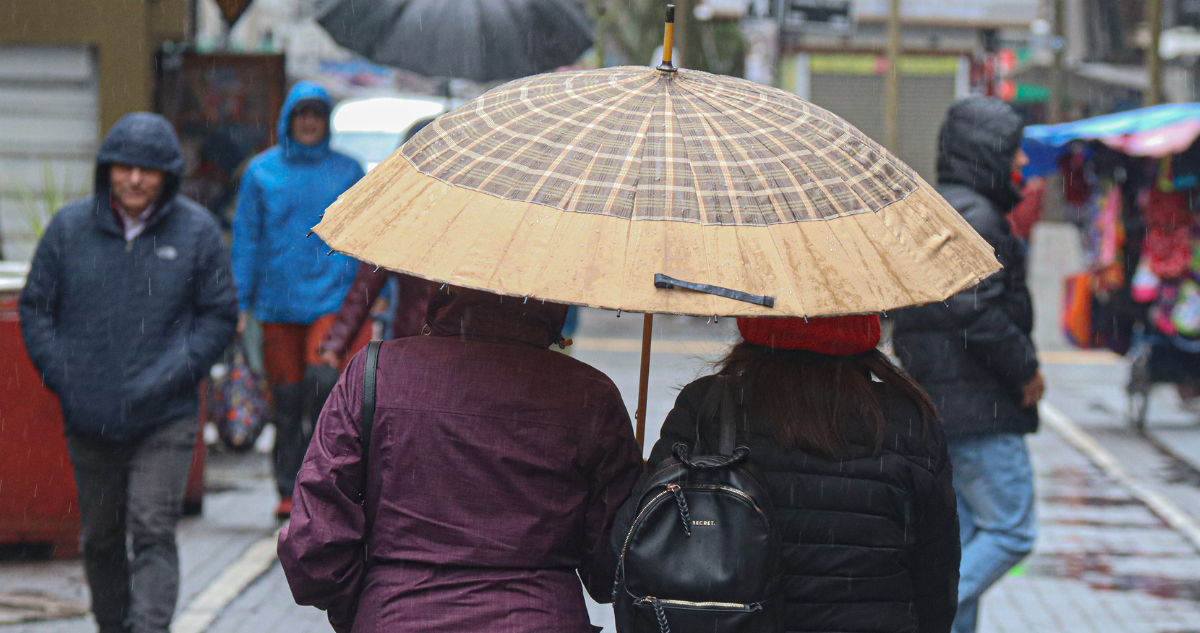 Emiten Alerta por viento y lluvias moderadas a fuertes en Bío Bío y Ñuble: revisa las intensidades