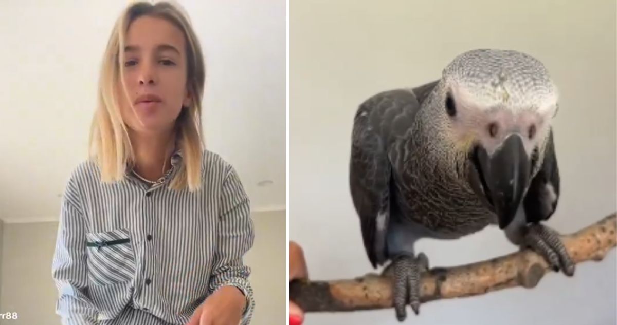 Loro exótico de $2 millones: Video muestra a Josefa Sáez pidiendo cortarle las alas para que no vuele