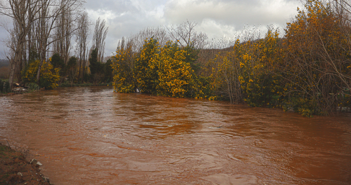 Mantienen Alerta Roja en el Maule por desborde de ríos: seis estaciones registran nivel de riesgo rojo
