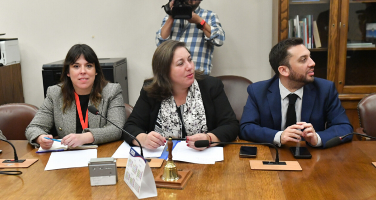 Megarreforma destapa quiebre en la oposición: PS y PPD enfrentan crisis por estrategia del Gobierno