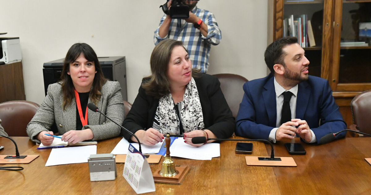 Megarreforma destapa quiebre en la oposición: PS y PPD enfrentan crisis por estrategia del Gobierno