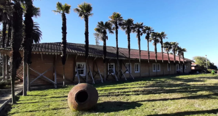 Museo Pedro del Río Zañartu | GORE Bío Bío