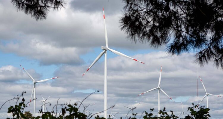 Empresa china instalará parque eólico en Purranque en medio de dudas por parte de la comunidad