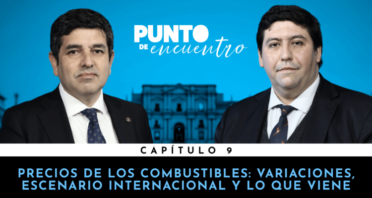 Precios de combustibles: variaciones, escenario internacional y lo que viene