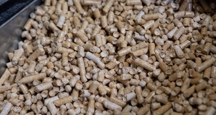 https://media.biobiochile.cl/wp-content/uploads/2026/07/pellet-araucania-descartan-falta-stock-750x400.jpg